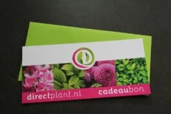 Cadeaubon - Ter Waarde Van 25 Euro