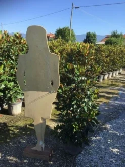 Beverboom (Magnolia Grandiflora 'Little Gem') -Tuinplantenwinkel magnola little gem 125 150 c25 2